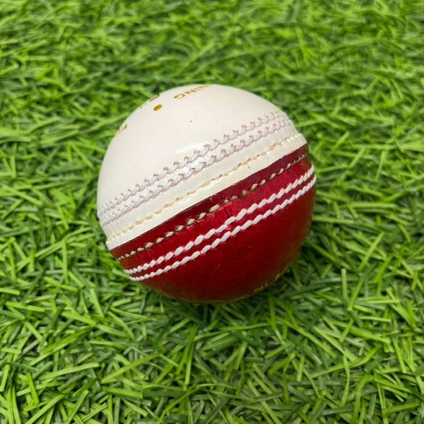 Ram Cricket Leather Coaching Ball - Box of 6