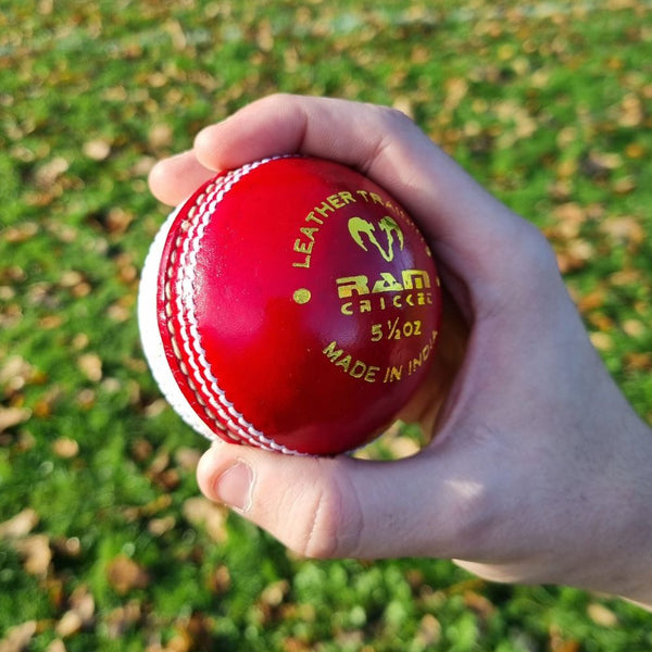 Ram Cricket Leather Coaching Ball - Box of 6