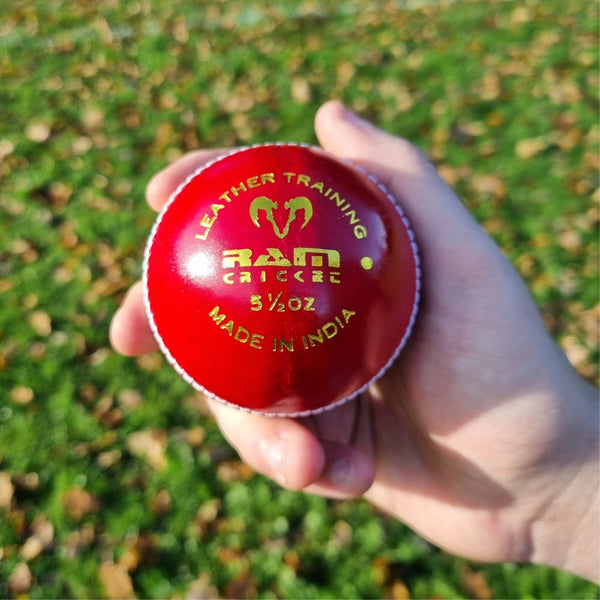 Ram Cricket Leather Coaching Ball - Box of 6