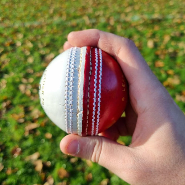 Ram Cricket Leather Coaching Ball - Box of 6