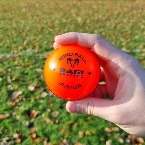 Cricket Skills Ball Set