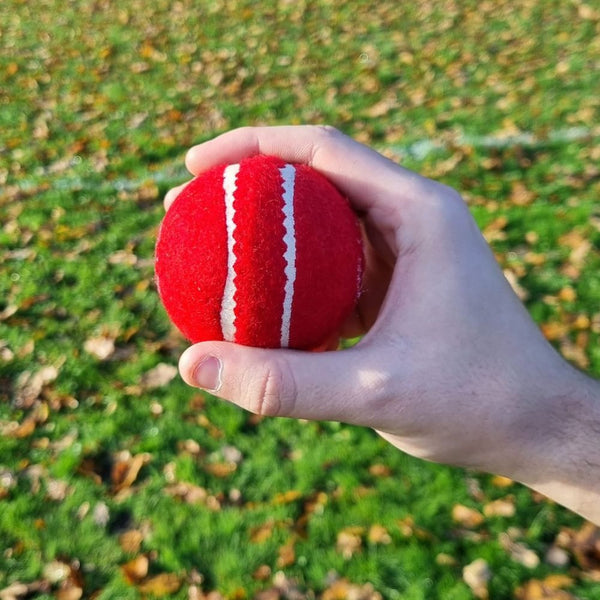 Cricket Skills Ball Set