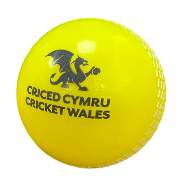 Custom Coaching Balls - 8 week delivery