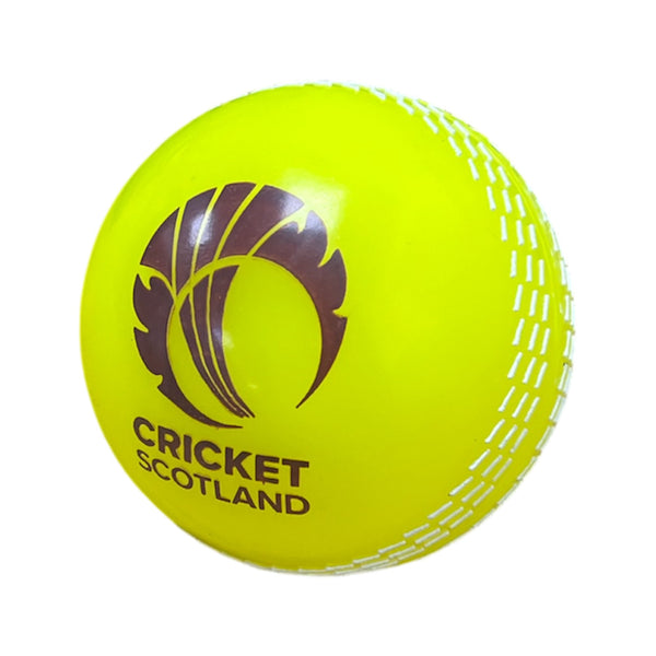 Custom Coaching Balls - 8 week delivery