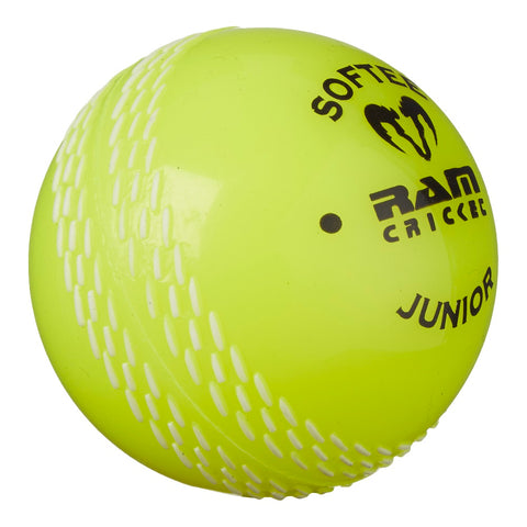 Custom Coaching Balls - 14-18 week delivery