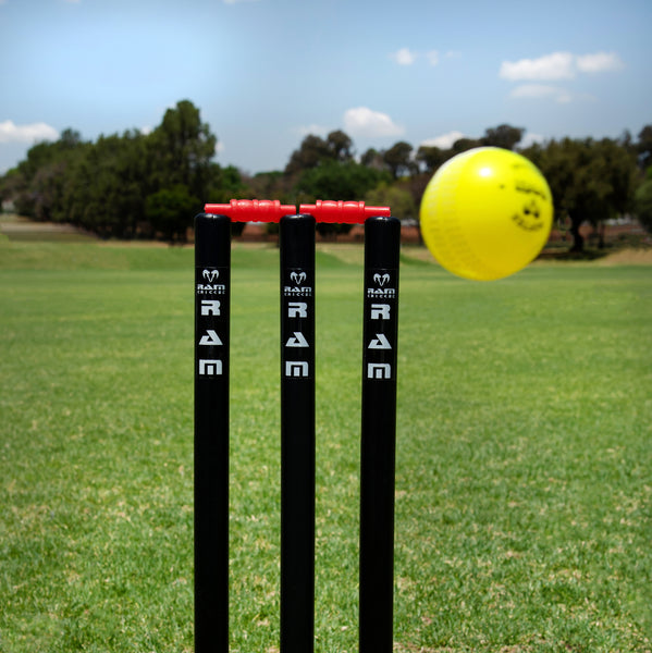 Crazy Cricket Set - Junior or Senior